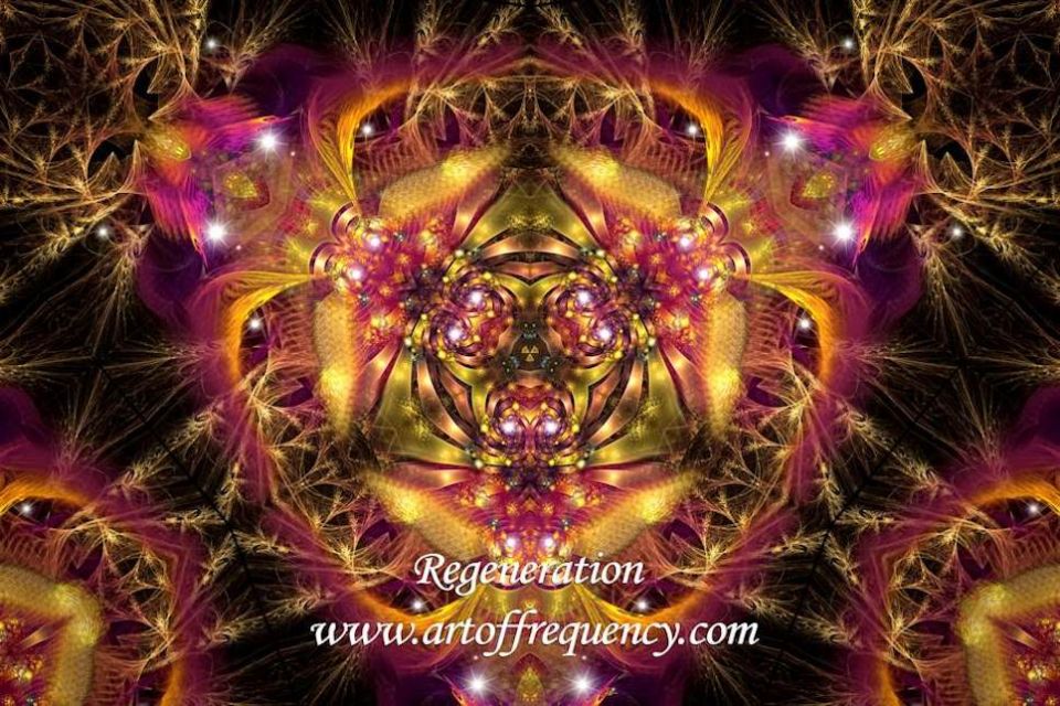 Regeneration_MG1.jpg
